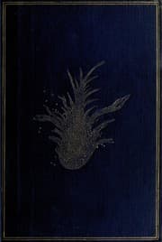 Obálka knihy Phantasmagoria and Other Poems