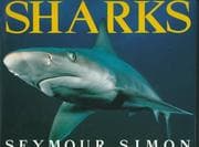 Obálka knihy Sharks