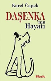 Obálka knihy Daschenka
