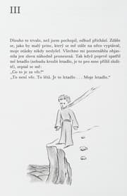 Obálka knihy Malý princ