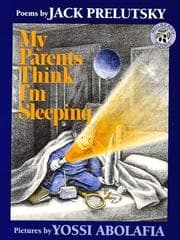Obálka knihy My parents think I'm sleeping