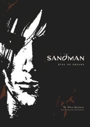 Obálka knihy The Sandman - King of Dreams
