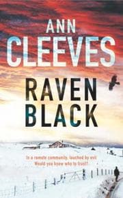 Obálka knihy Raven Black