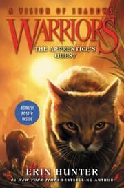 Obálka knihy The Apprentice's Quest